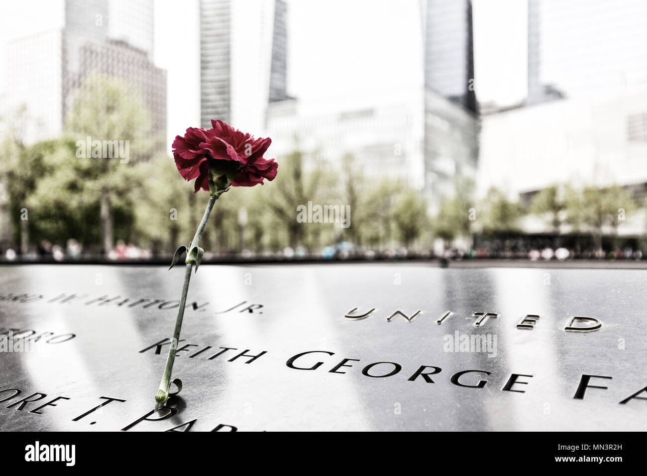 Blumen links in Gedenken an die Opfer des 11. September 2001 Angriff; das Denkmal 9/11 Pools, Downtown New York, New York City USA (siehe auch MN3R 26. Stockfoto