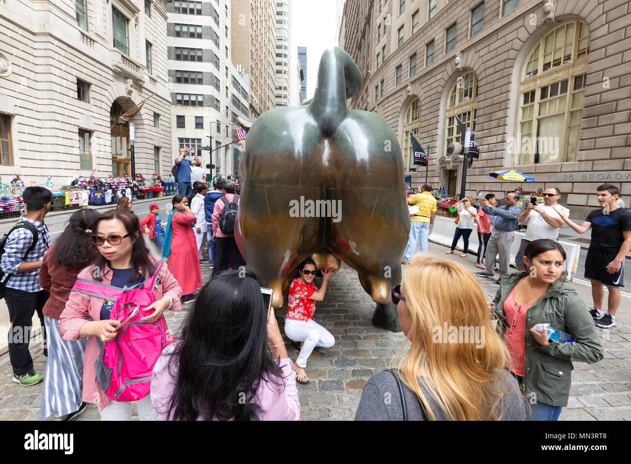 Touristen mit dem hinteren Ende der Wall Street Bull Posing, Downtown New York City, USA Stockfoto