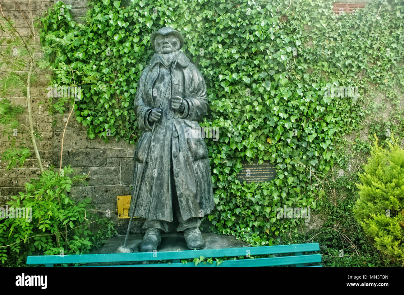 Statue eines Viehtreibers Stockfoto