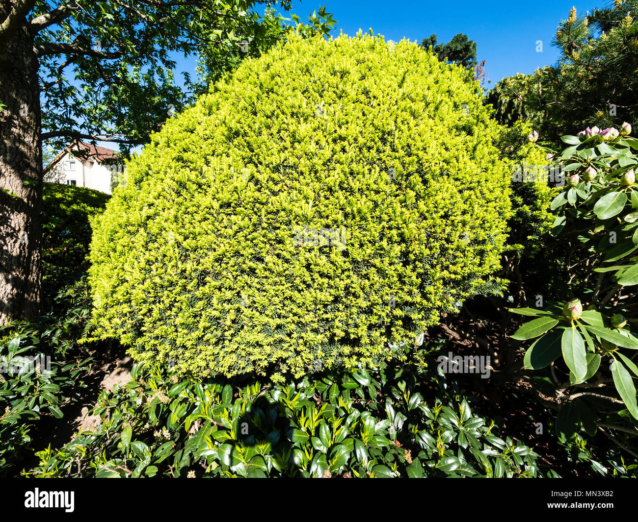 Japanischer Garten Freiburg Breisgau Baden Wurttemberg Deutschland Stockfotografie Alamy