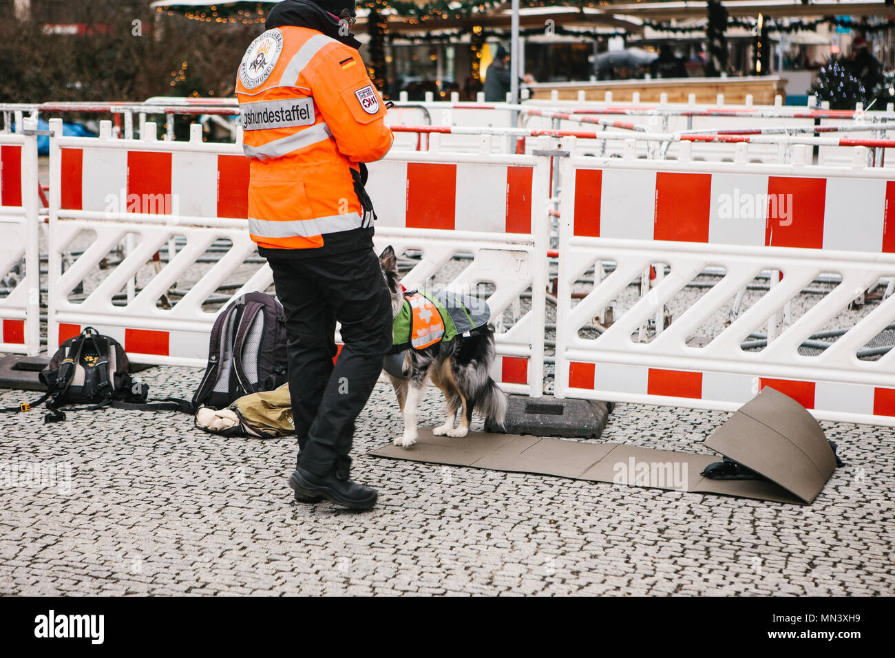 Berlin, Deutschland, 15. Februar 2018: Krankenwagen oder Mitarbeiter der medizinischen Ambulanz mit Hund oder Retter. Man Mitarbeiter von Medizin und Gesundheitswesen. Stockfoto