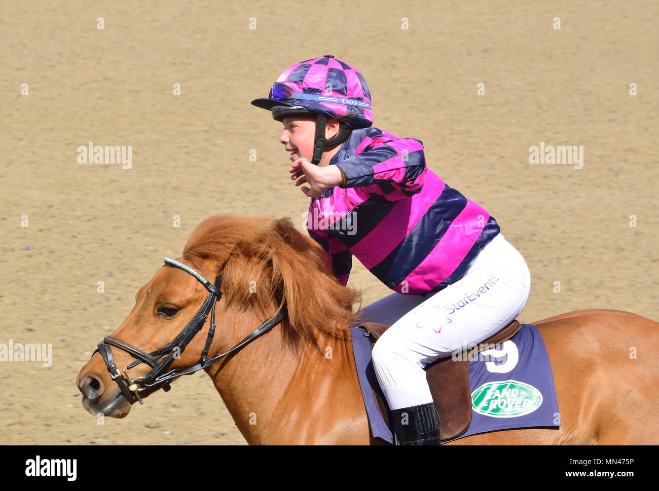 Schloss Windsor, Großbritannien. 13. Mai, 2018. Schloss Windsor, Großbritannien. 13. Mai 2018. Das Royal Windsor Horse Show zu Hause Park Private Windsor Castle UK Schoß Ehre für den Sieger der Shetland Pony Grand Prix Credit: Gary Blake/Alamy Live Stockfoto