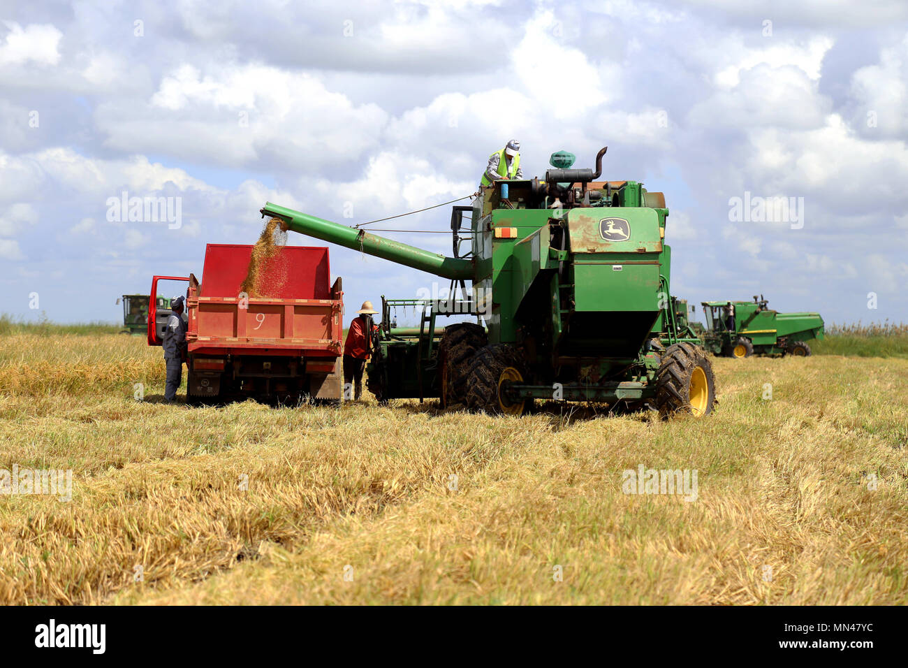 (180514) - Gaza (Mosambik), 14. Mai 2018 (Xinhua) - ein Harvester transfers Reis in der Truck in der Wanbao Reis Bauernhof in der Provinz Gaza, Mosambik, April 4, 2018. Der Wanbao Mosambik Reis Farm, die von der China-Afrika-Entwicklungsfonds investiert wird, ist die größte ihrer Art, die von China in Afrika durchgeführt. Das Projekt, das eine umfassende Business, das Plantation, Lagerung, Verarbeitung und Vertrieb, zielt darauf ab, 20.000 Hektar Ackerland zu entwickeln, und die Bauern in der Umgebung Pflanzen über eine 80.000 Hektar wachsen führen. (Xinhua) (sxk) Stockfoto