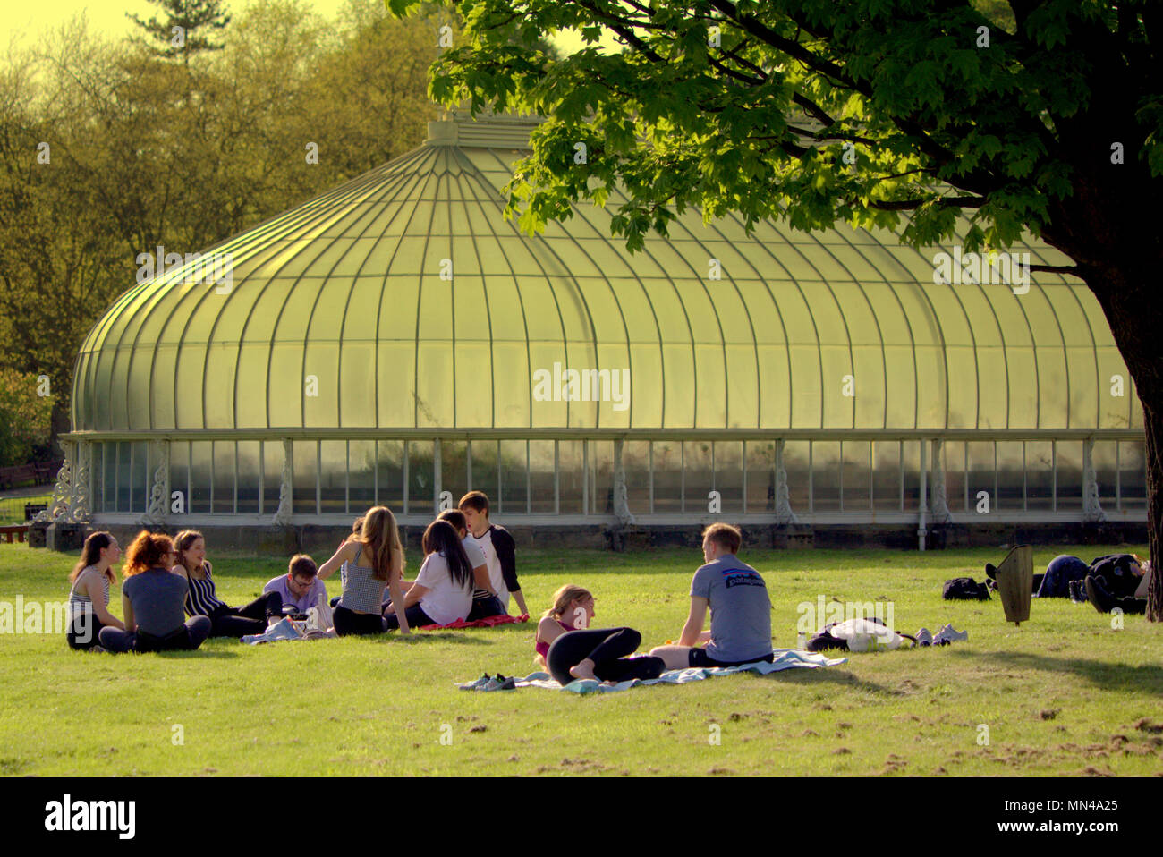 Glasgow, Schottland, Großbritannien, 14. Mai.de Wetter Sonnenbaden auf grünem Gras Sommer Wetter und Radfahrer und Wanderer in der Botanik oder den Botanischen Garten. Gerard Fähre / alamy Nachrichten Stockfoto