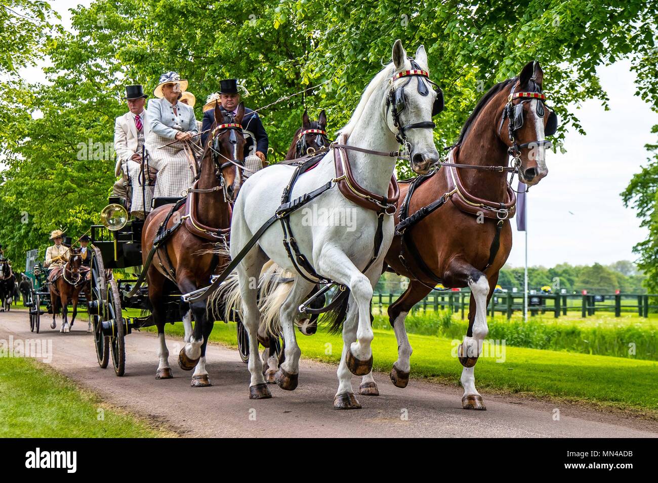 Tag 5. Royal Windsor Horse Show. Windsor. Berkshire. UK. Fahren. Die Champagne Laurent Perrier Treffen der britischen Fahren Gesellschaft. 13.05.2018. Stockfoto