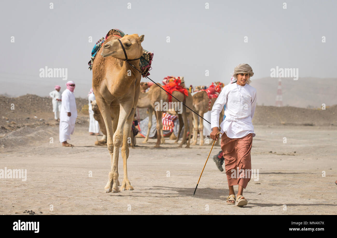 Ibri, Oman, 28. April 2018: junge omani Mann mit seinem Kamel vor einem Rennen Stockfoto