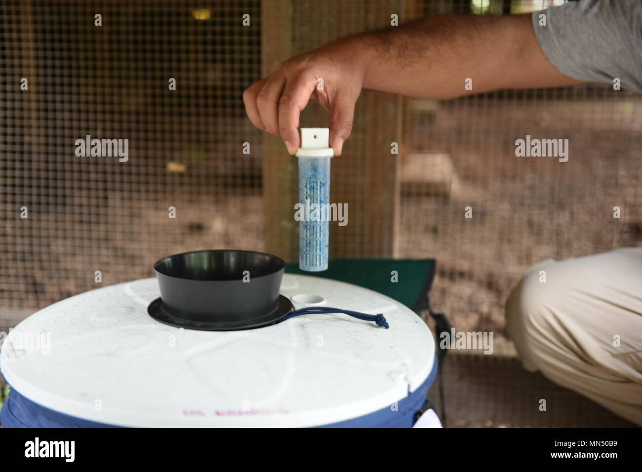 Personal von der Naval Medical Research Unit Nr. 6 prüft ein Vektor trap im Soto Cano Air Base, Honduras, Nov. 11, 2017. Die gemeinsame Aufgabe Force-Bravo medizinische Element, NAMRU-6 und die uniformierten Service Universität der Gesundheitswissenschaften für eine laufende tropischen Krankheit Studie in Trujillo und Soto Cano Air Base Anfang August partnered, Prüfung live Samples und Sammeln von Vektoren, die potentielle Träger von Krankheiten sein könnte. Die Falle lockt Mücken durch Lösen einen starken Geruch. (U.S. Armee Foto von Maria Pinel) Stockfoto