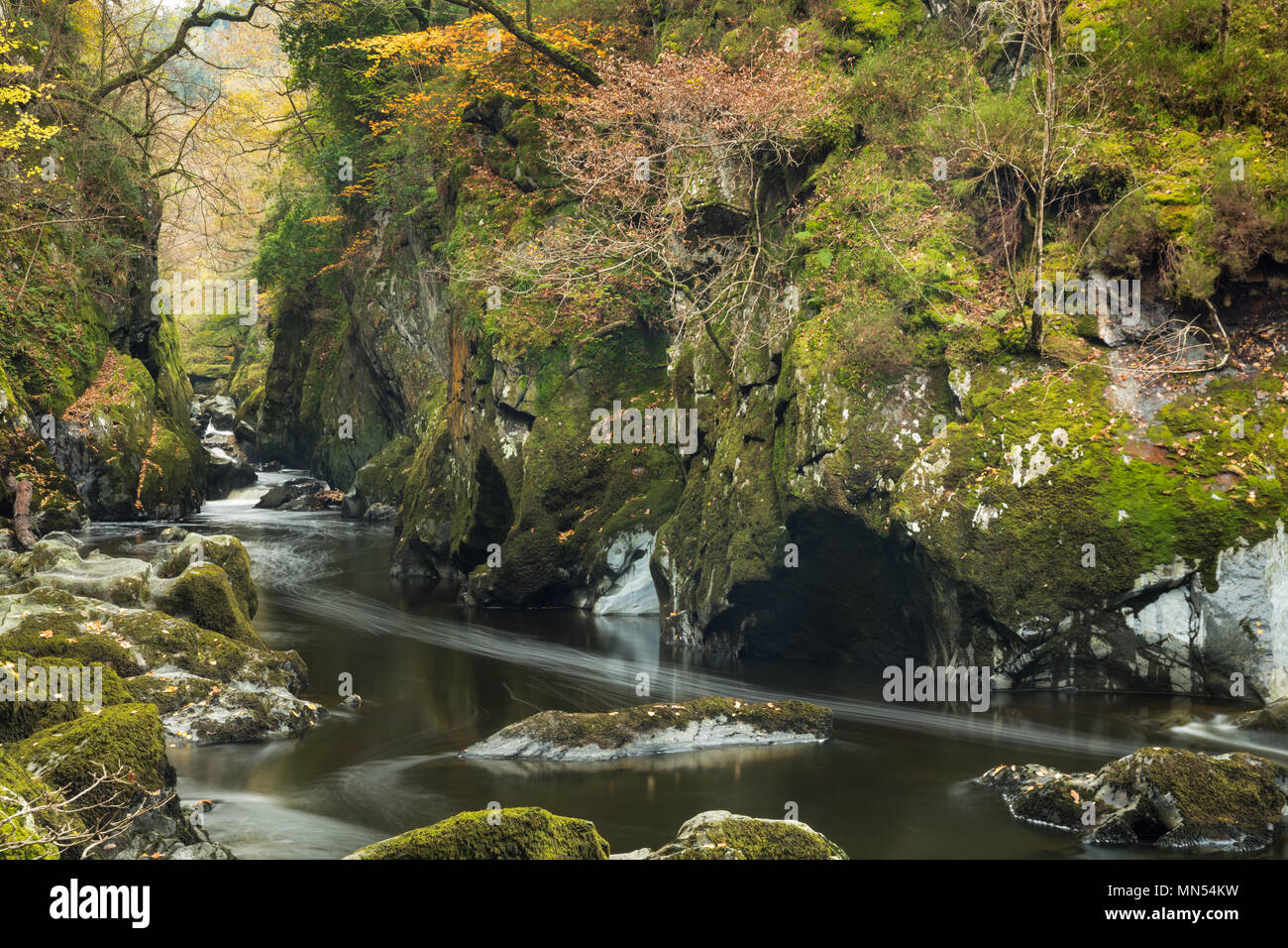 Die Fairy Glen, Conway Tal, Snowdonia, Wales, Großbritannien Stockfoto