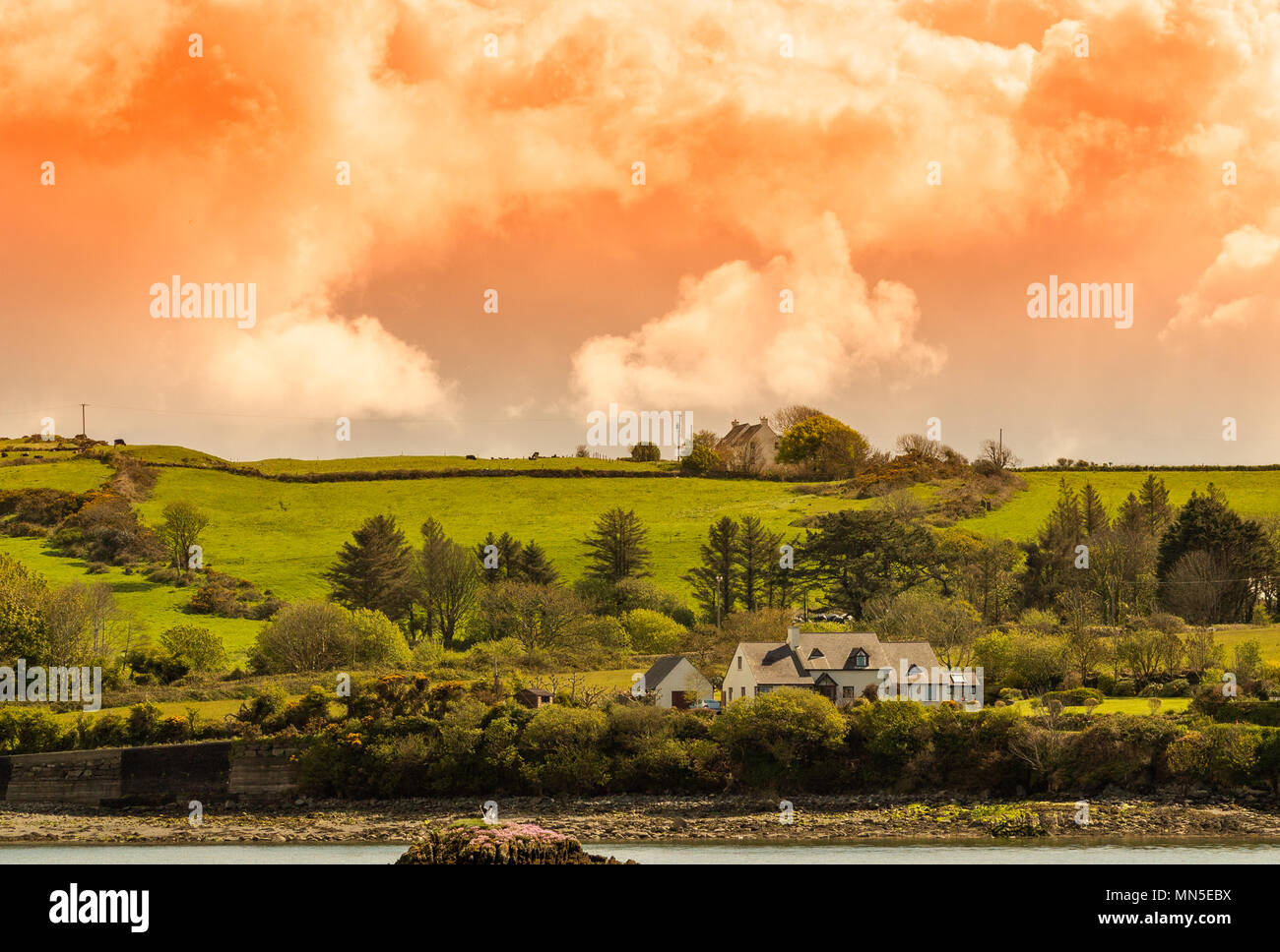 Abend Landschaft im County Cork, Irland mit dem Sonnenuntergang über den Wolken Beleuchtung die Landschaft scheint. Stockfoto