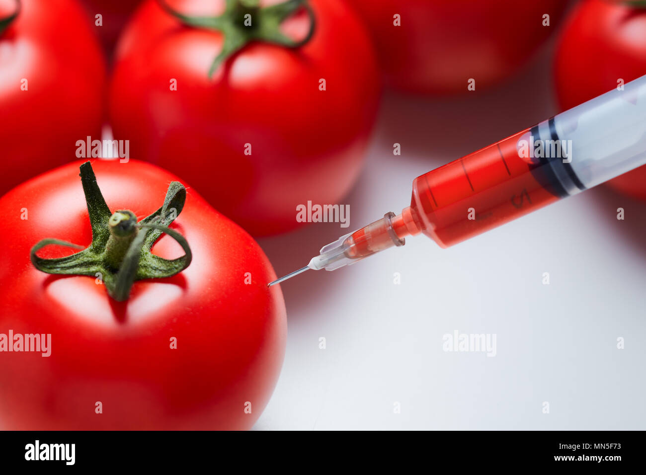 Nahaufnahme einer Spritze Injizieren einer roten Flüssigkeit an die frische rote Tomaten. Konzept der genetischen Modifikation. Stockfoto