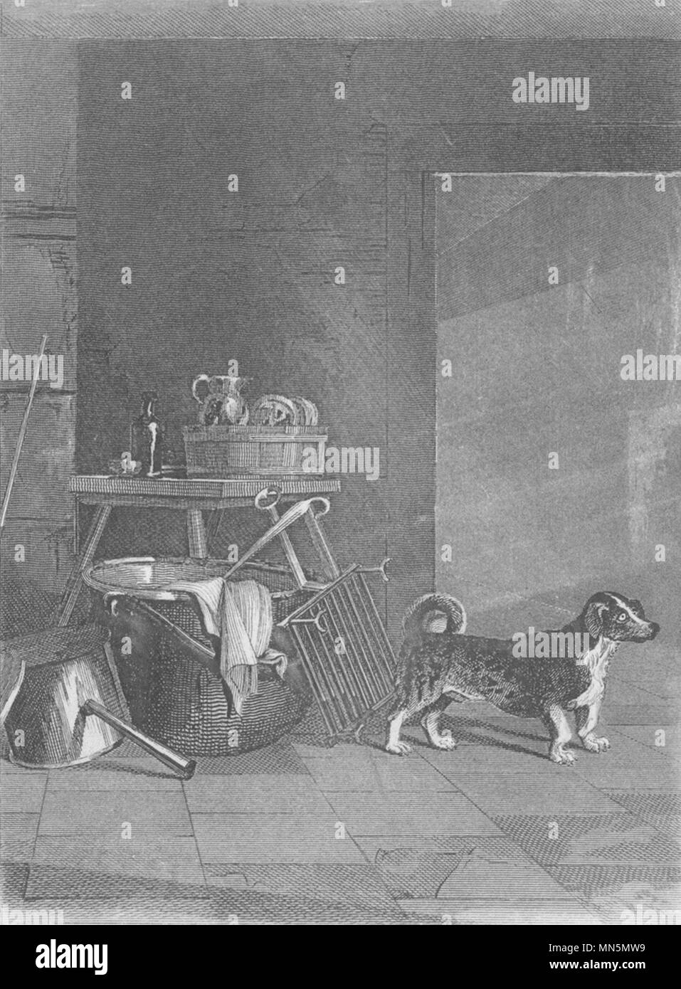 Hunde. Turnspit (Edward Jesse) 1888 alte antike vintage Bild drucken Stockfoto