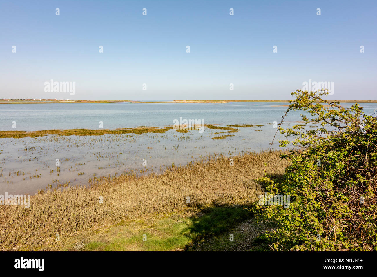 Die Westseite der Pagham Harbour Naturschutzgebiet, West Sussex, UK. Stockfoto