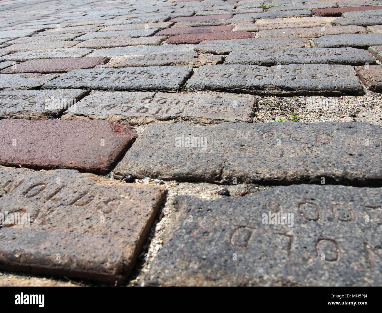 St. George Street ursprüngliche Ziegel aus der Flagler Ära, St. Augustine, Florida, USA, 2018, © katharine Andriotis Stockfoto