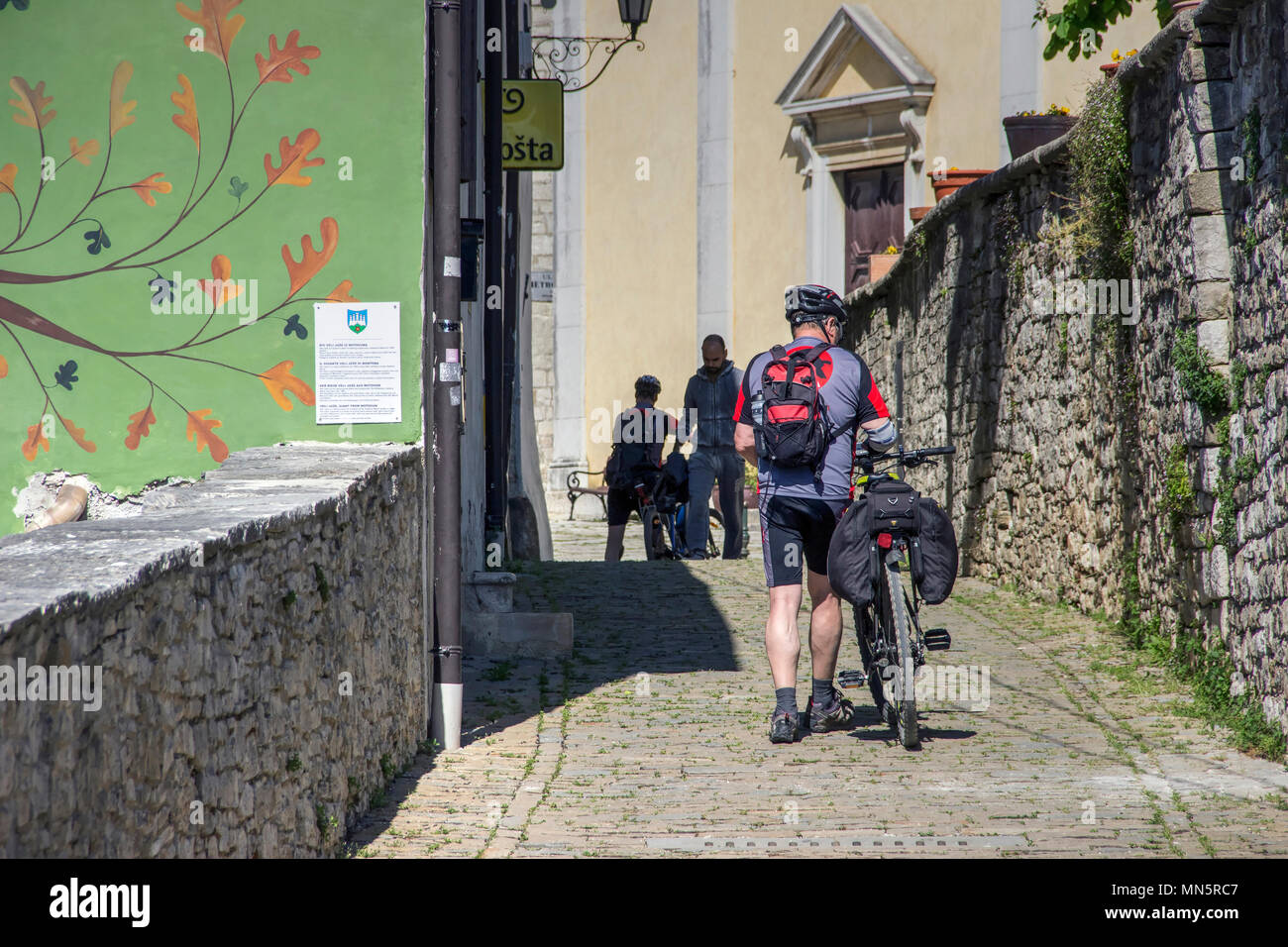 Istrien, Kroatien, April 2018 - Radfahrer Fahrrad drücken Sie die engen gepflasterten Straße in der antiken Stadt Motovun Stockfoto