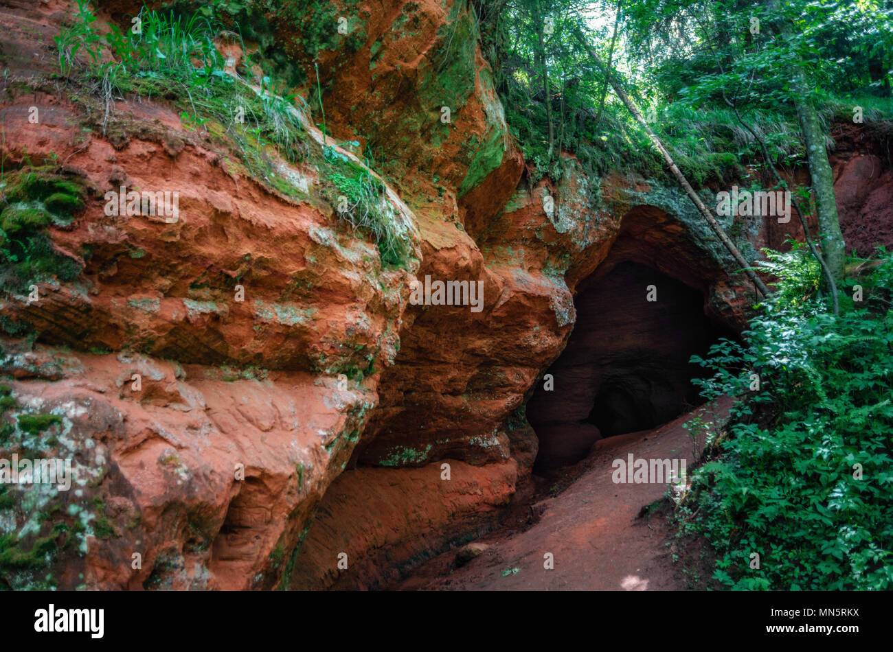 Eingang zum dunklen Höhle im Felsen im Wald Stockfoto