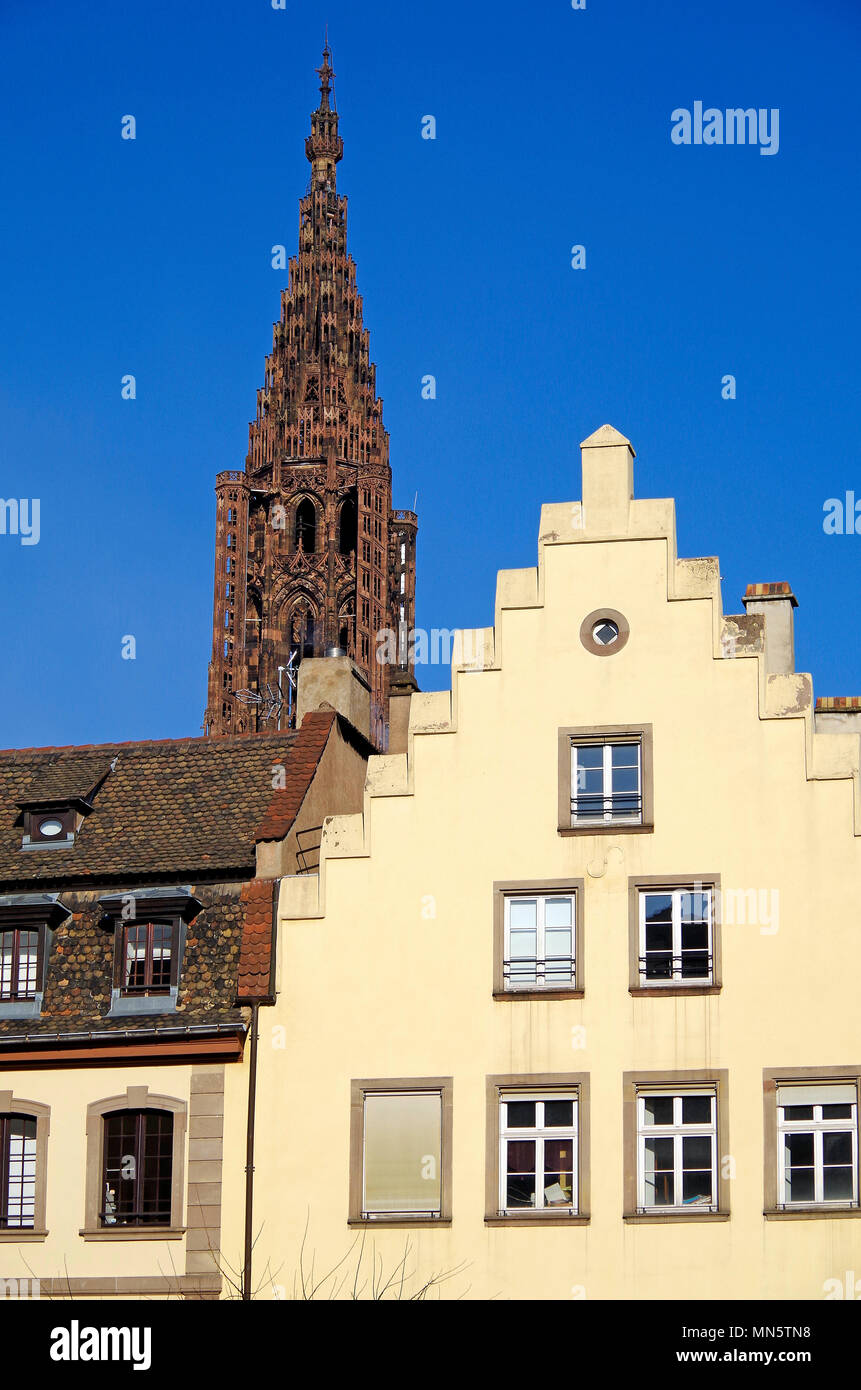 Die hohen oder späten gotischen Turm der Kathedrale von Notre Dame de Strasbourg, vom Boden aus in einem benachbarten Viertel gesehen. Stockfoto