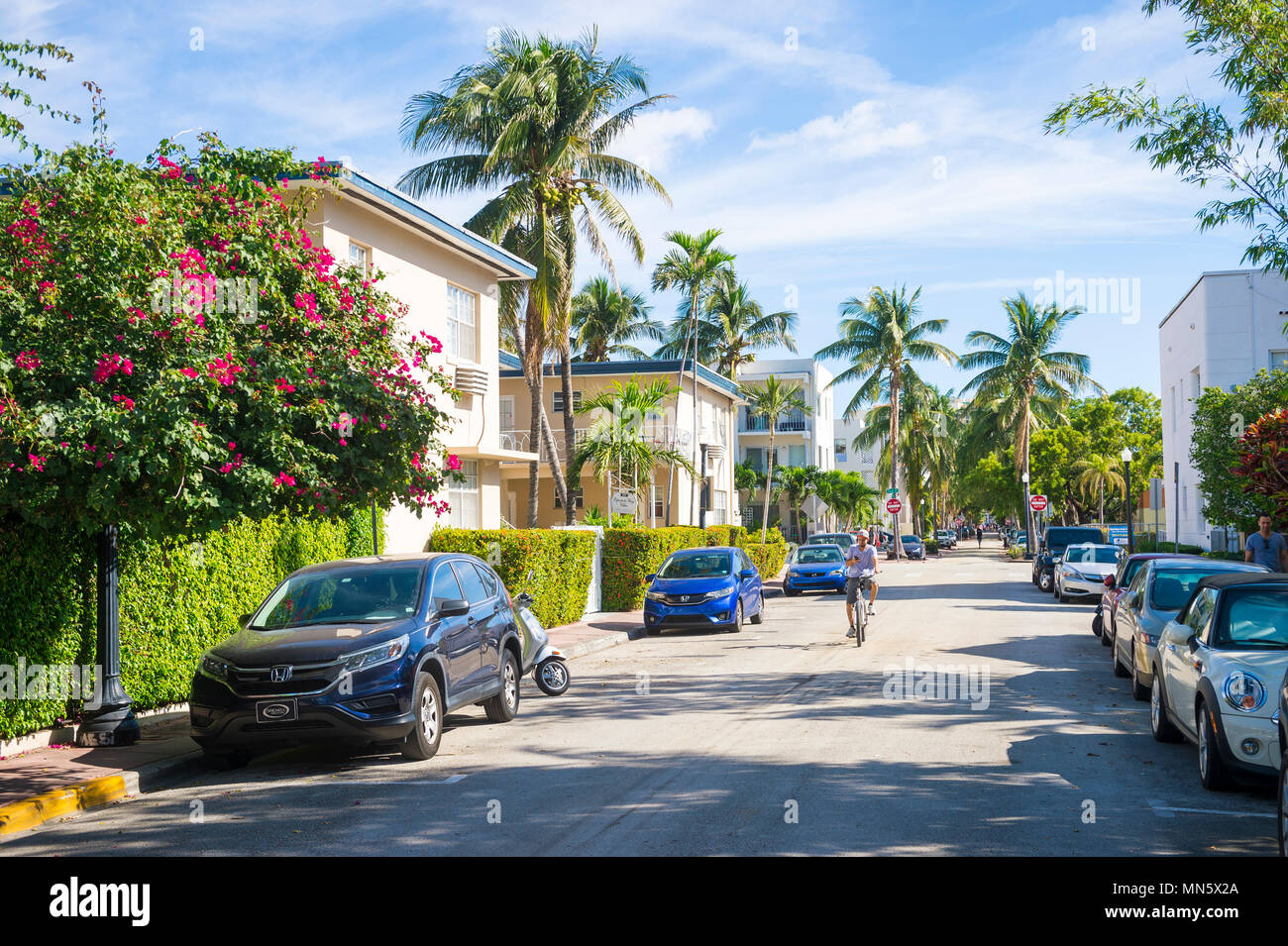 MIAMI - ca. Januar 2017: Radfahrer reiten auf einer ruhigen Wohnstraße mit Palmen und blühenden Sträuchern im historischen Art déco-Viertel Stockfoto