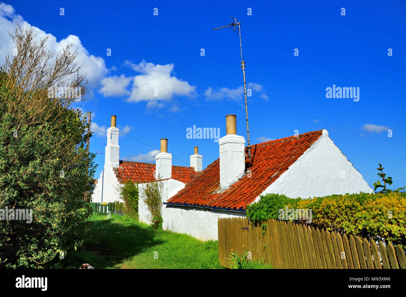Pan Fliesen- weiß getünchten Cottages in Crail - East neuk von Fife Stockfoto