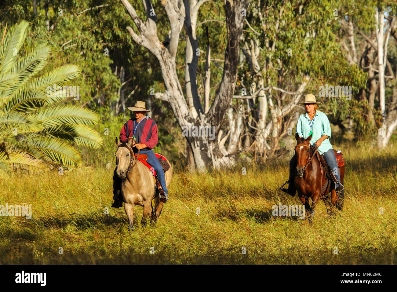 Mann und Frau reiten Pferde auf einem Bauernhof. Stockfoto