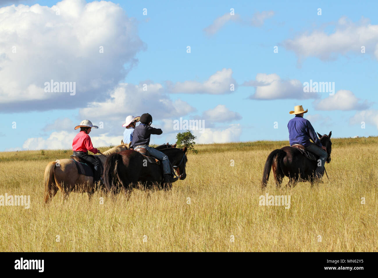 Vier Kinder reiten Pferde auf einem Bauernhof. Stockfoto