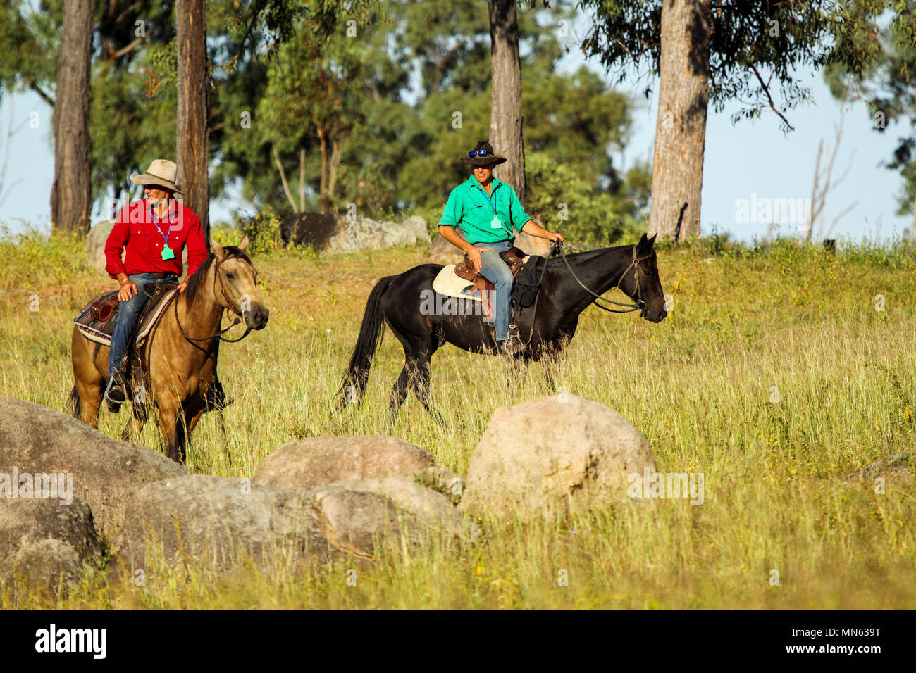 Zwei Cowboys reiten Pferde auf einem Bauernhof in Queensland, Australien. Stockfoto