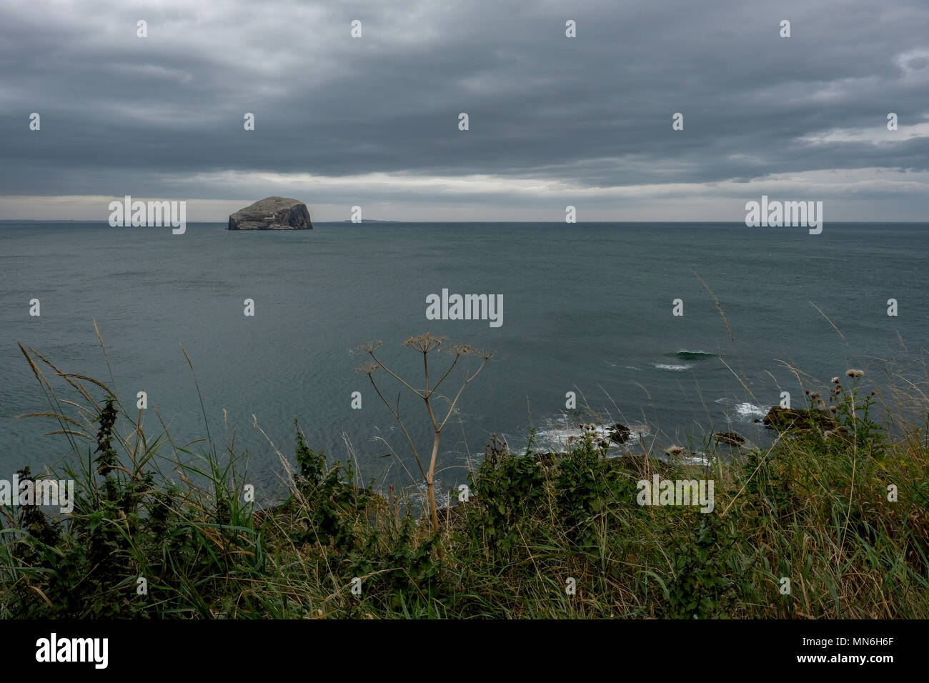 Der Bass Rock, North Berwick, East Lothian, Schottland Stockfoto