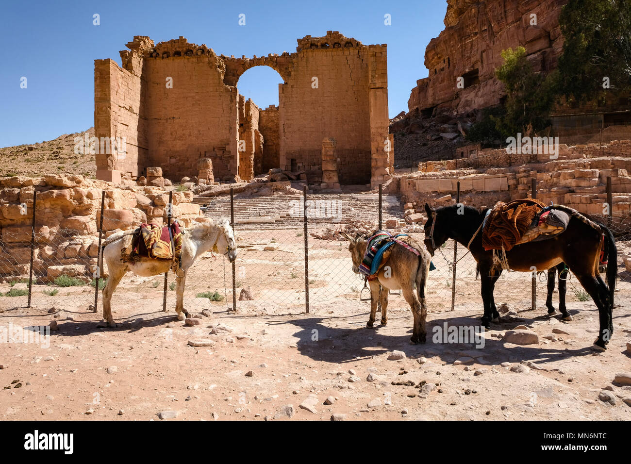 Qasr al-Bint Ruine und Esel warten Touristen zurück zum Eingang zu bringen Stockfoto