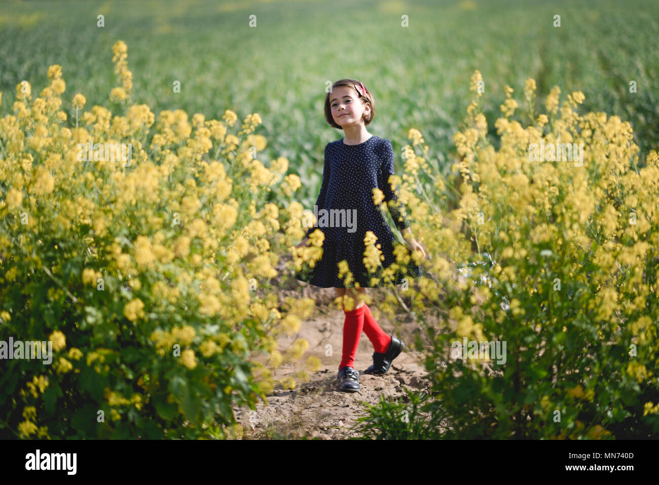 Kleines Mädchen in Natur Feld tragen schöne Kleid zwischen gelben Blumen Stockfoto