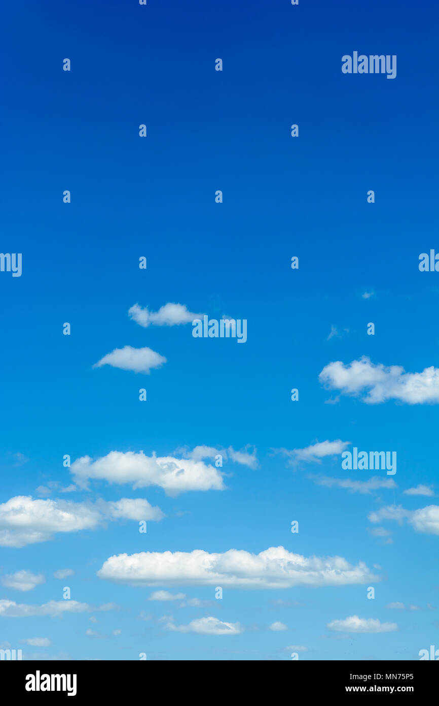 Niedrige Winkelansicht der länglichen weißen Cumulus Wolken, tief in einem blauen Himmel, bei sonnigem Wetter. Stockfoto