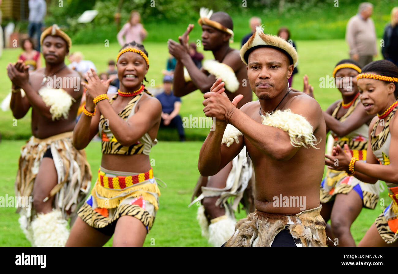 Lions in Zululand (eine kulturelle Mischung von Musikern und Tänzern aus Südafrika Verbreitung der Zulu Kultur; www.lionsofzululand.org.uk) während t Stockfoto