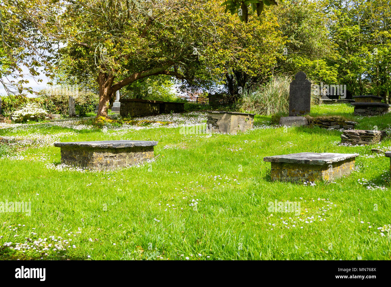 Ein ruhiger Ruhigen kleinen Dorf Friedhof, Friedhof oder Friedhof an einem Frühlingsmorgen. Stockfoto