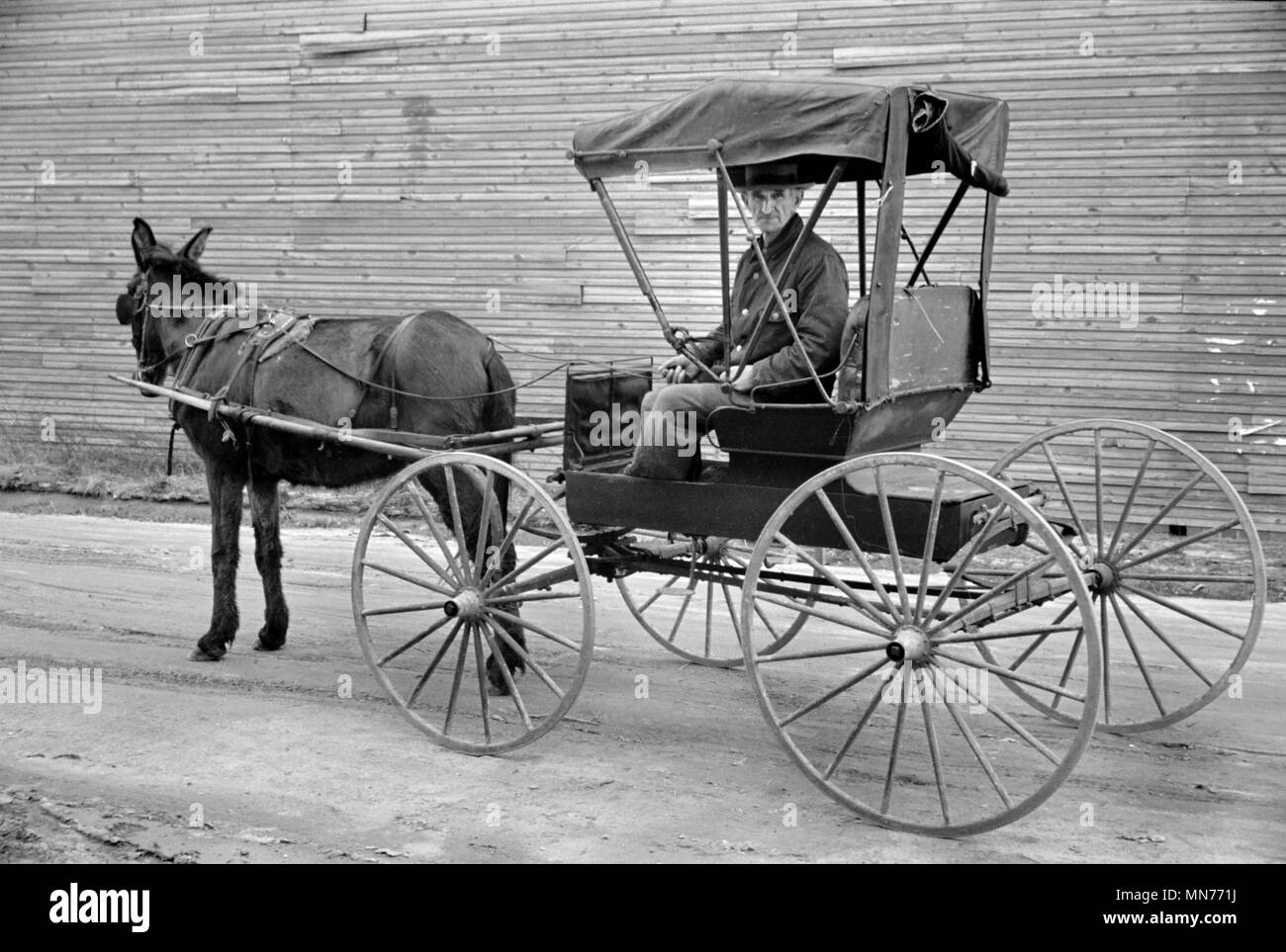 Mann und Horse-Drawn Buggy, Hoffman, North Carolina, USA, Carl Mydans, US-Umsiedlung Verwaltung, März 1936 Stockfoto