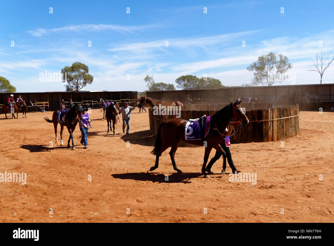 Rennpferde, vor einem Rennen, Mt Magnet, Eastern Goldfields, Western Australia ausgeübt Stockfoto