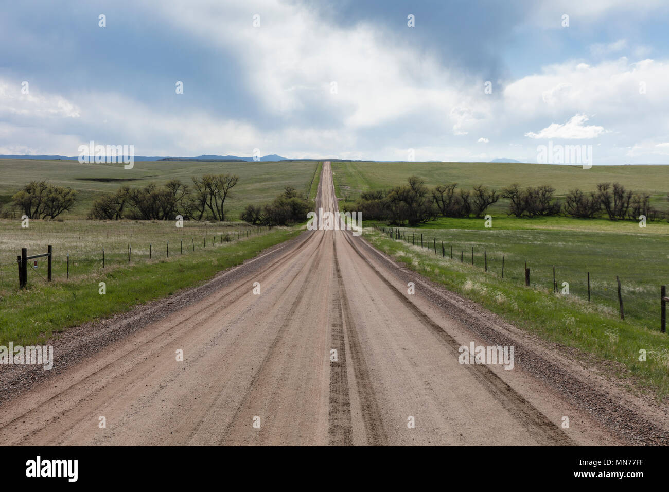 Dirt Road Horizont zu Prairie Stockfoto