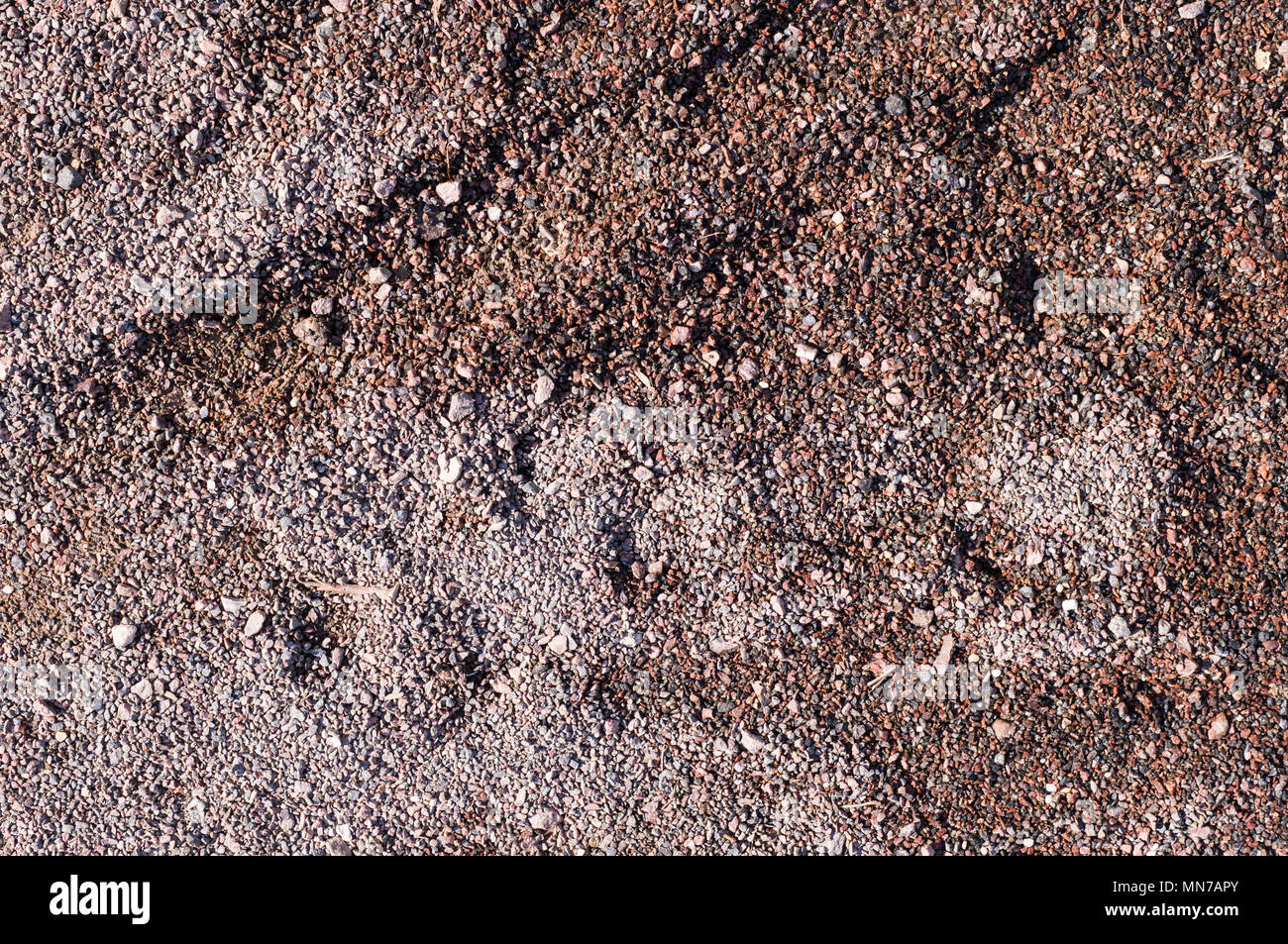 Grob nassen Sand mit Spuren. Hintergrund, Textur Stockfoto