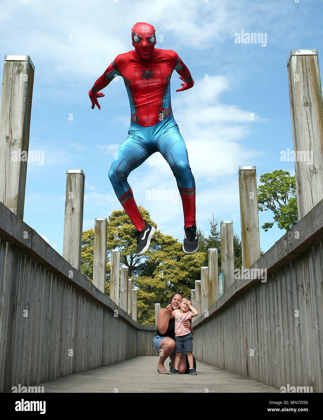 David Bharrat gekleidet wie Spiderman seine parkour Fähigkeiten an Blair Drummond Safari Park in Schottland zeigt, wie die Vorbereitungen für ihre super hero Wochenende am 26. und 27. Mai im Gange sind. Stockfoto