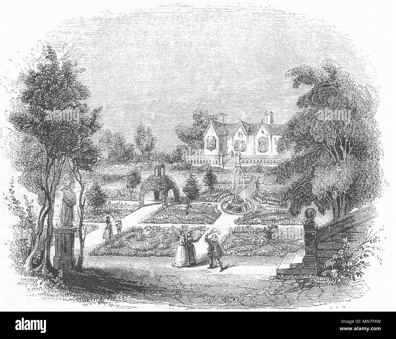 BOTANICAL. Einer verknoteten Garten 1845 alte antike vintage Bild drucken Stockfoto