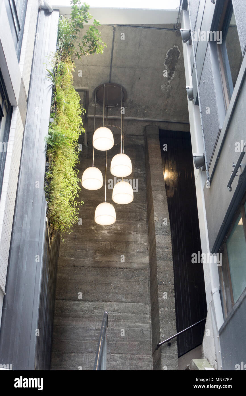 Moderne Beleuchtung und vertikale Garten in Treppe zur Terrasse, Wellington, Neuseeland Stockfoto