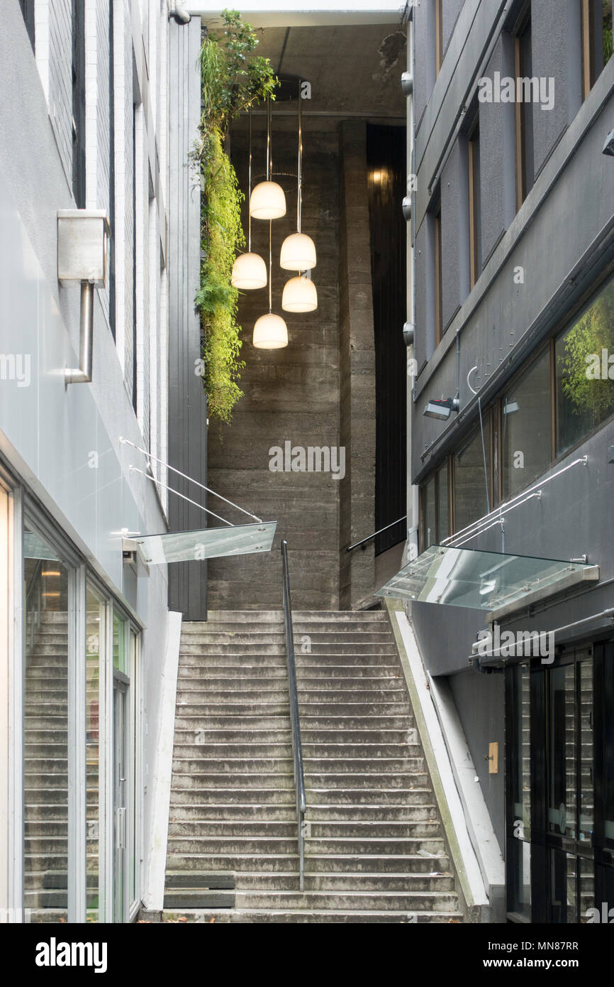 Moderne Beleuchtung Und Vertikale Garten In Treppe Zur Terrasse Wellington Neuseeland Stockfotografie Alamy