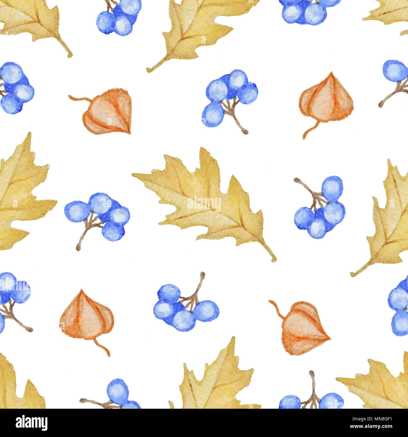 Blumen Aquarell nahtlose Muster mit gelben Eichenlaub und blaue Beeren auf weißem Hintergrund Stockfoto