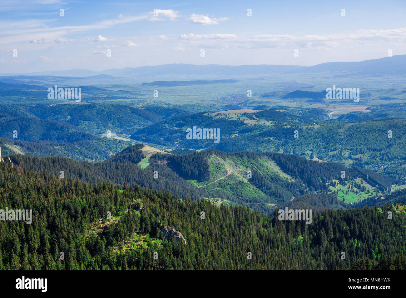 Kurze Reise an den Piatra Singuratica in Siebenbürgen RO Stockfoto