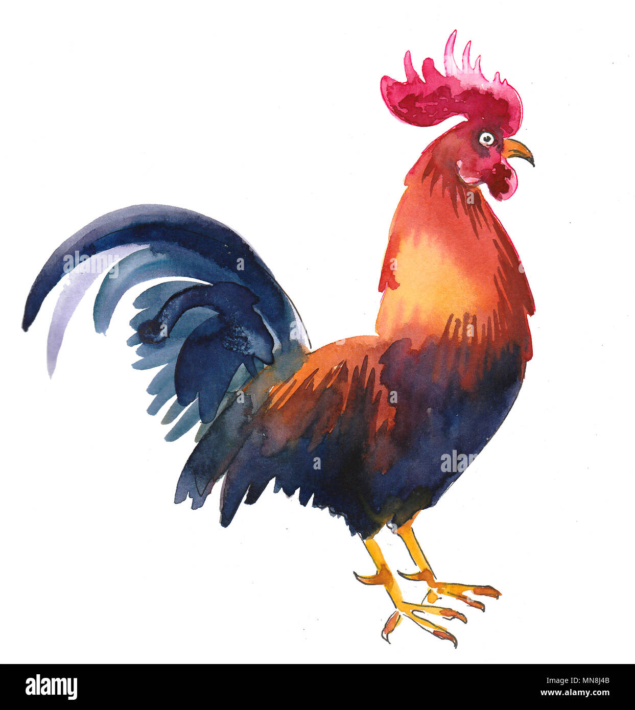 Bild von einem Hahn: A Comprehensive Guide to the Art of Drawing a Rooster