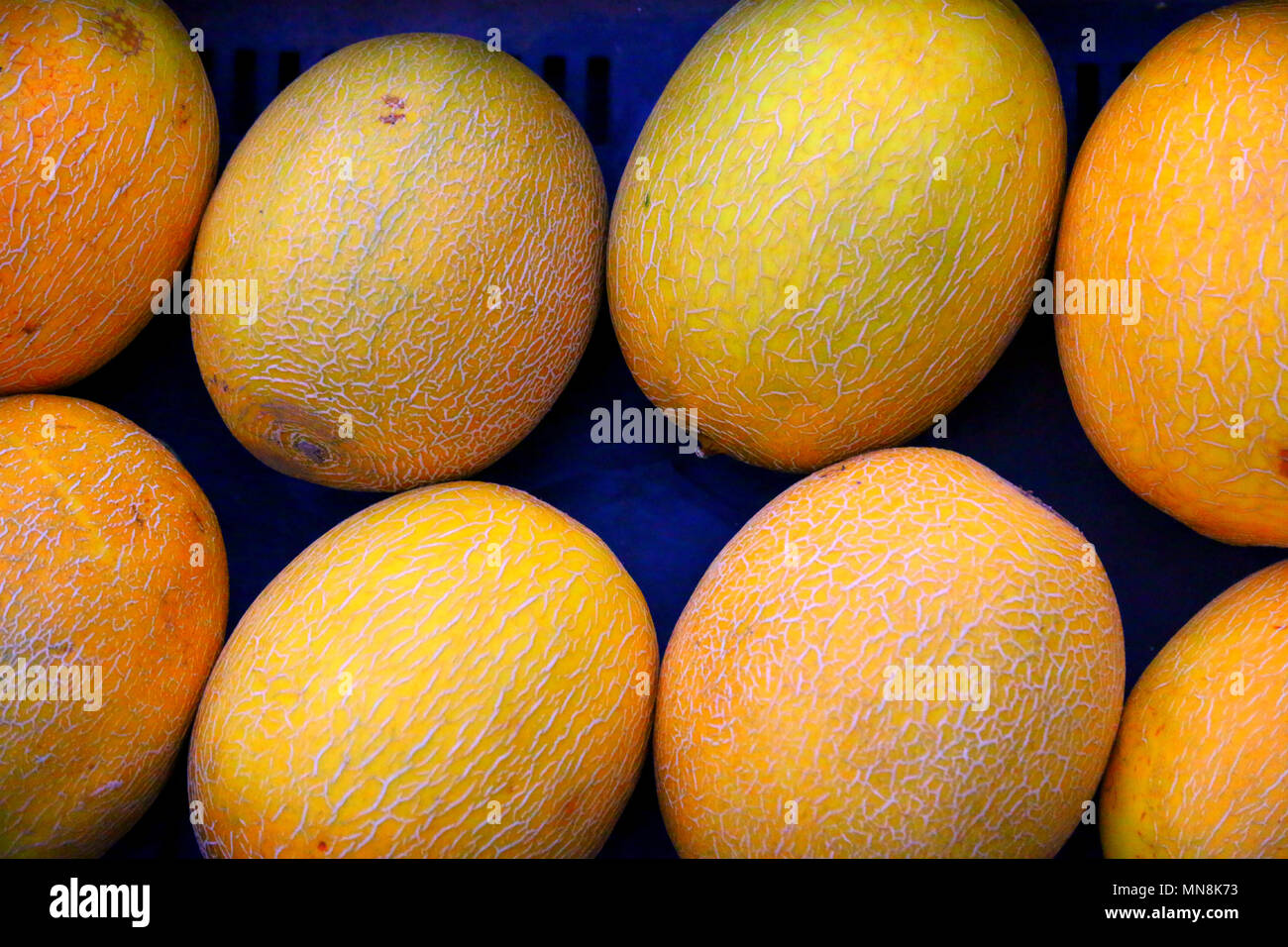 Gruppe von frischem Gelb Melone vom Großen Markt. Sehr leckere und frische Früchte. Stockfoto