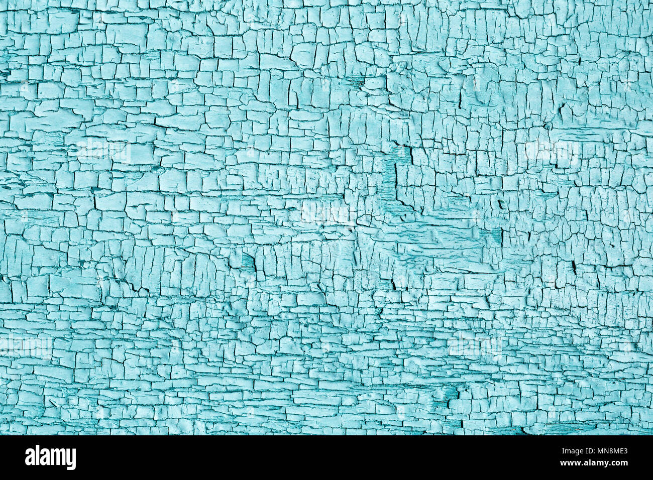 Alte, gesprungene Aquamarin Farbe auf einem Holz- Oberfläche. Verwitterte Textur einer Wand. Rustikale hellblau hinterlegt. Stockfoto