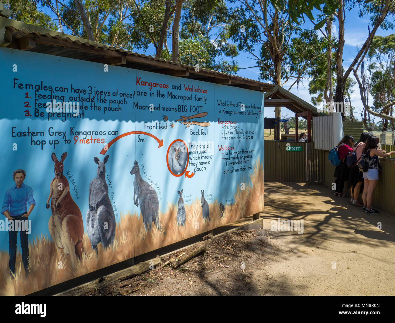 Reklametafeln die Aufklärung der Menschen über die Kängurus und Wallabies am Maru Koala- und Tierpark, Grantville, Victoria, Australien. Stockfoto