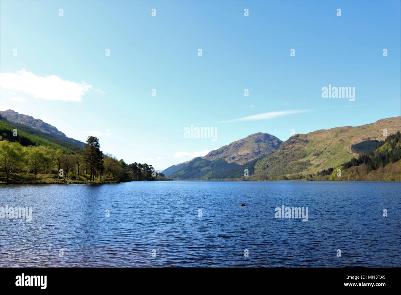 Schönen Loch Eck, Schottland, UK an einem klaren sonnigen Tag, Wasser und Berge in eine atemberaubende Aussicht. Eine beliebte Touristenattraktion. Stockfoto