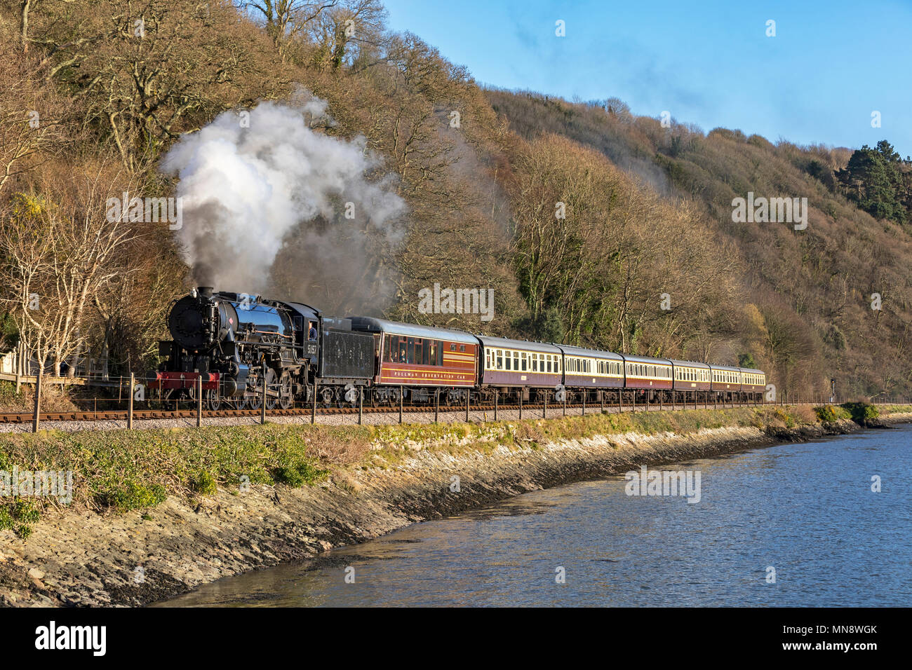 Paignton & Dartmouth Eisenbahn Stockfoto