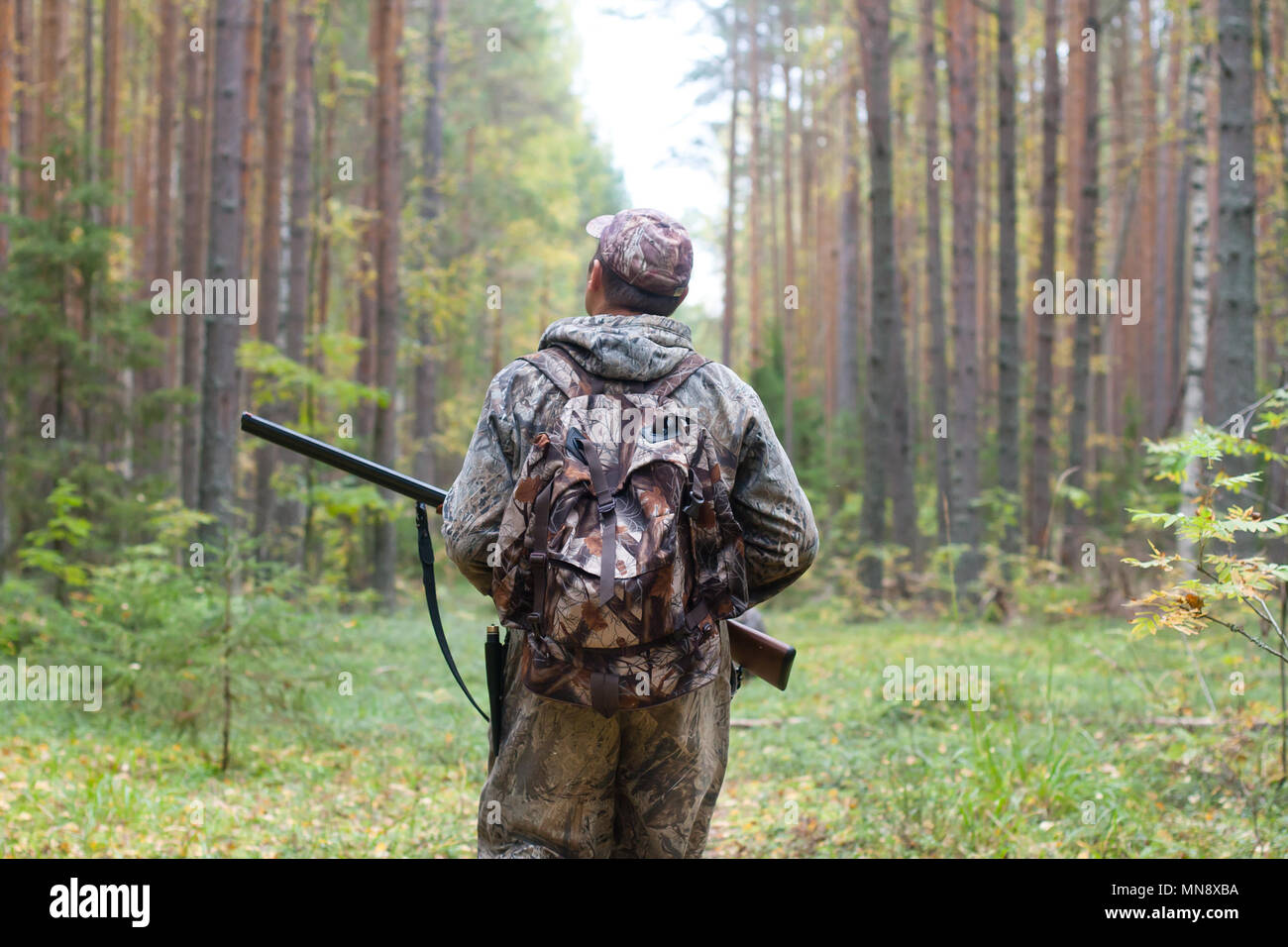 Jäger in Camouflage mit Schrotflinte Wandern in den Wald Stockfoto