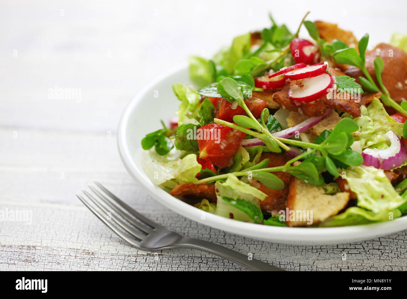 Fattoush Salat mit sumach und Fladenbrot, libanesische Küche Stockfoto