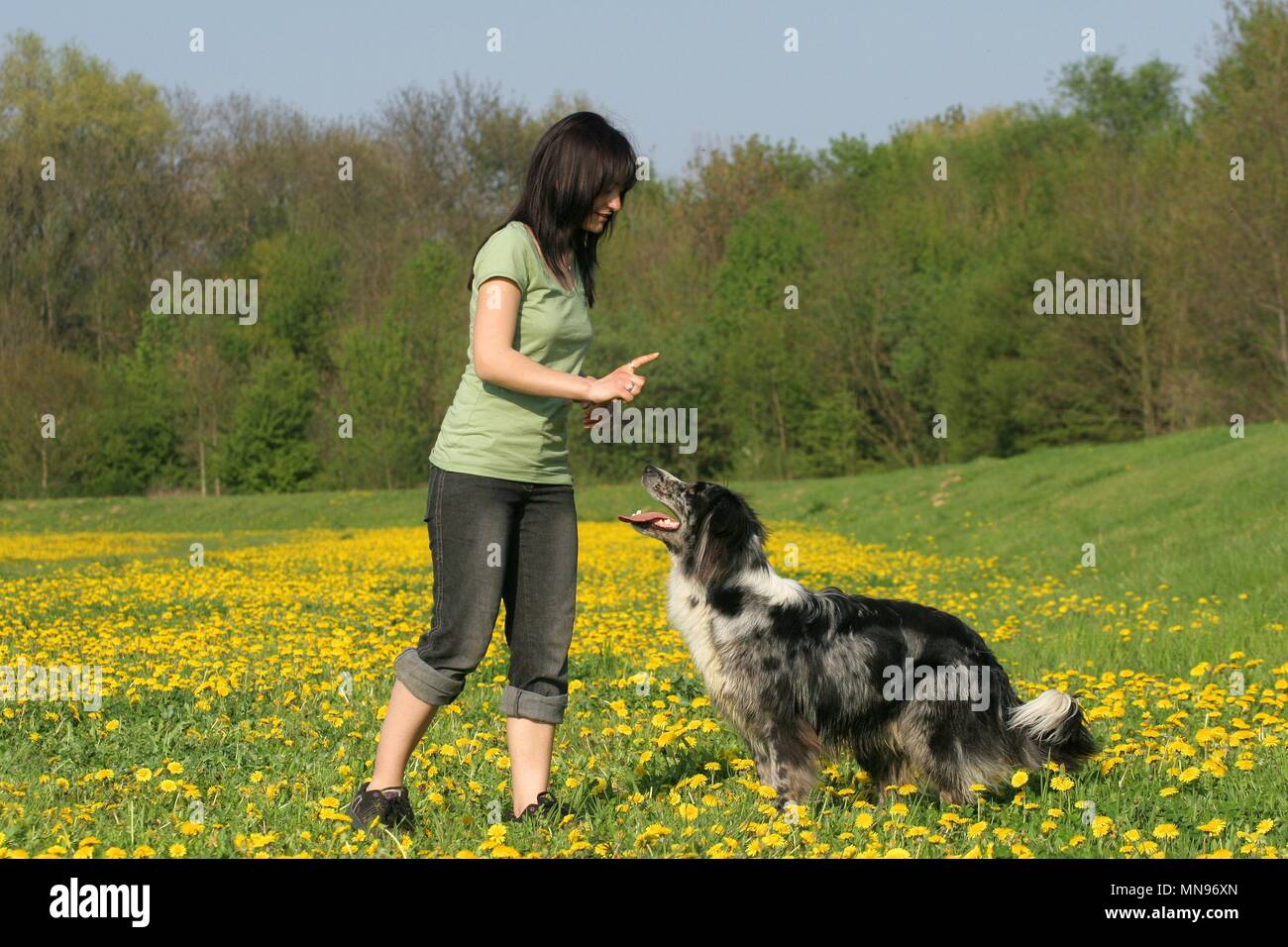 Frau und Tiger Stockfoto